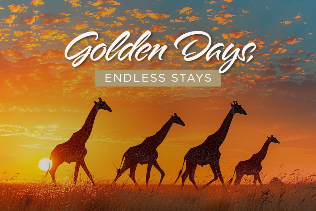 aha_Golden Days Endless Stays 1200 x 800px